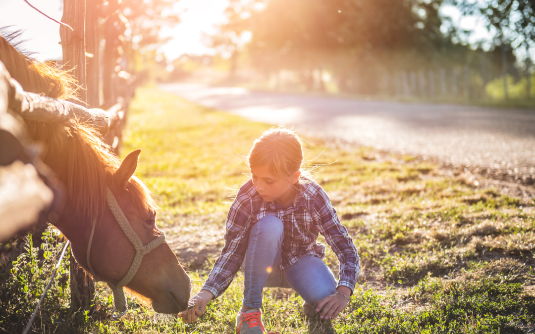 Le cheval : un collaborateur, une source d’inspiration.