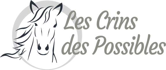 Les Crins des Possibles | Médiation équine